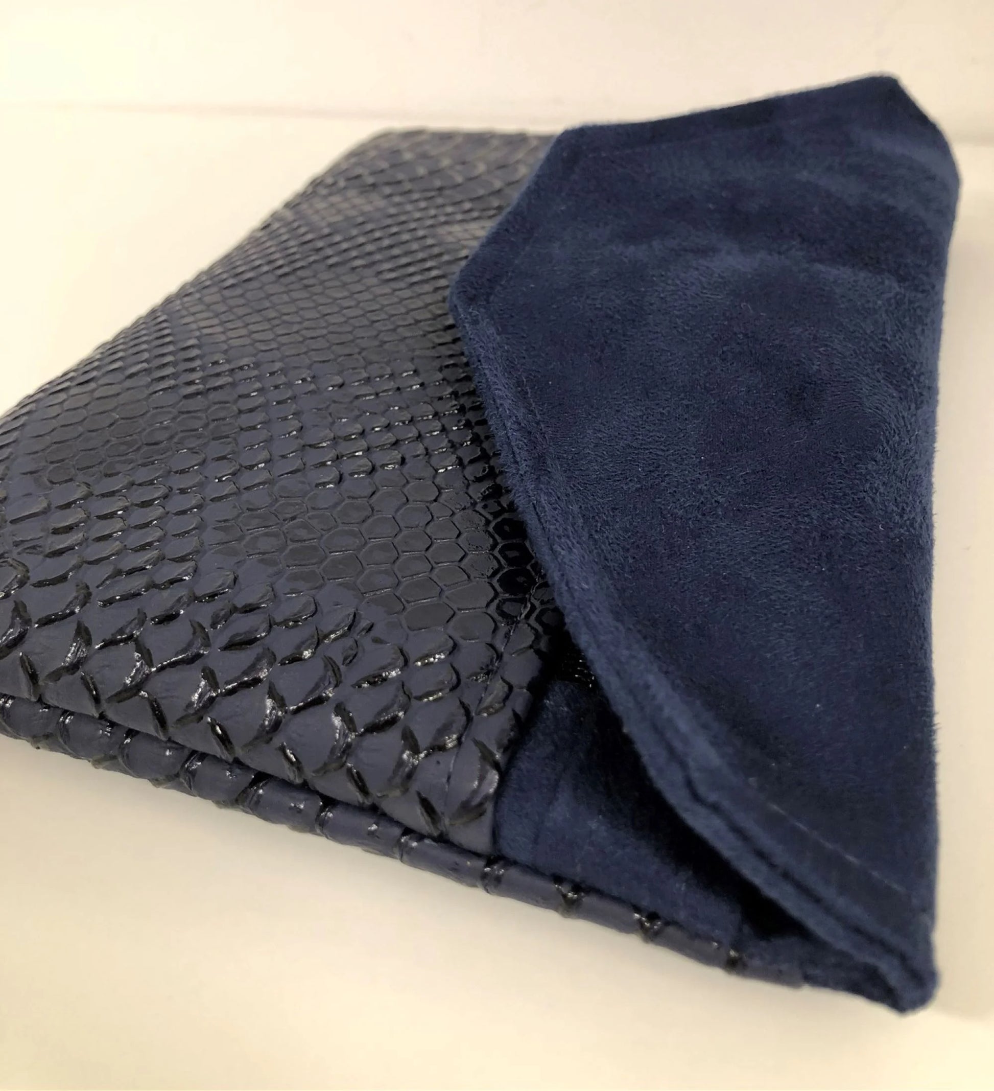 Vue latérale du compagnon de sacbleu marine aspect reptile.